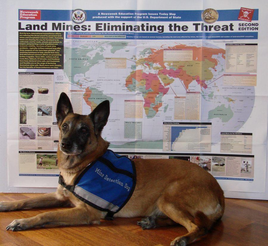 Senna, who was previously employed in the Mine Detection dog program, visited Convent of the Sacred Heart April 10 to help students learn more about the ongoing global battle against landmines.
Courtesy of Kirsten Parkinson '15