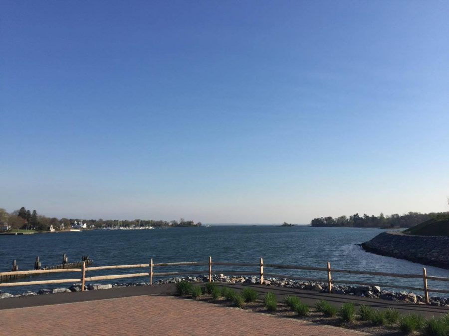 A View of the Mianus River from Cos Cob Park - Courtesy of Aggie Ryan 16