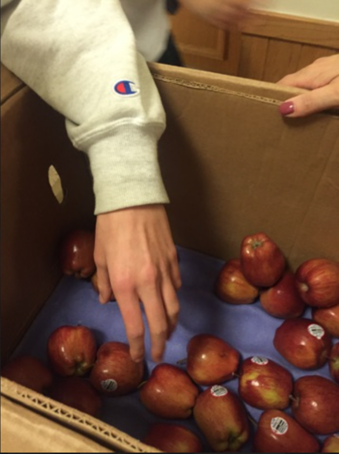 A member of the Upper School community selecting the perfect apple for the Apple Crunch.
Cheyann Greirson 16