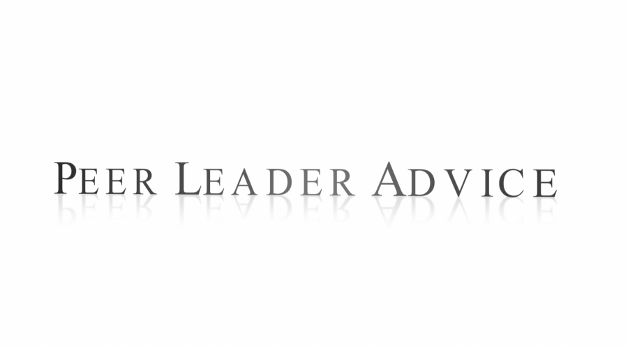 Peer Leader advice 2018 - Video Post