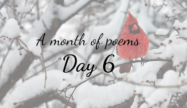 A month of poems: Day six
