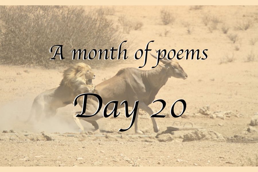 A month of poems: Day 20