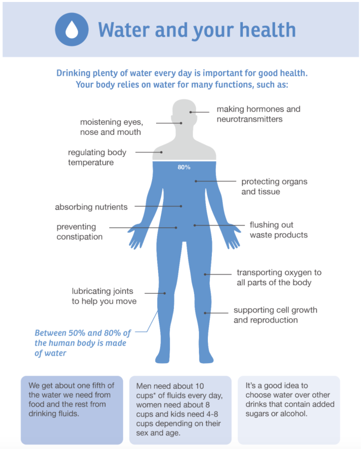 The importance of hydration for the body and the brain – King Street ...