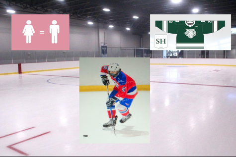 A new addition to winter athletics encourages female representation in ice hockey
