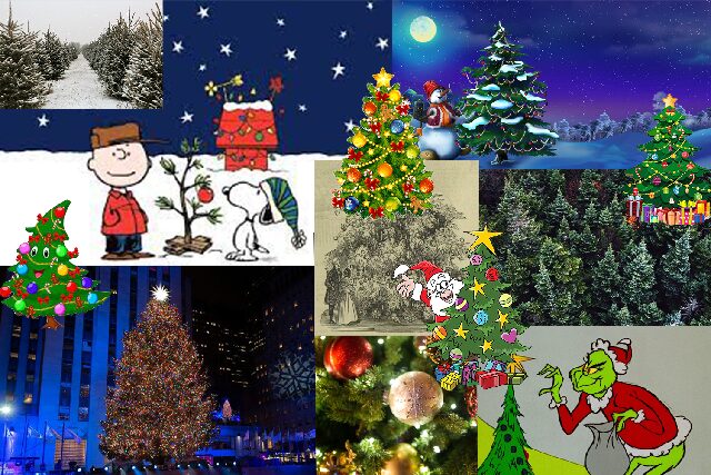 Christmas+trees+have+been+an+annual+holiday+tradition+for+centuries.+