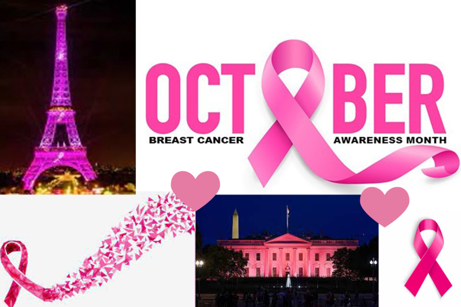 The+Cancer+Research+Club+recognizes+Breast+Cancer+Awareness+Month.