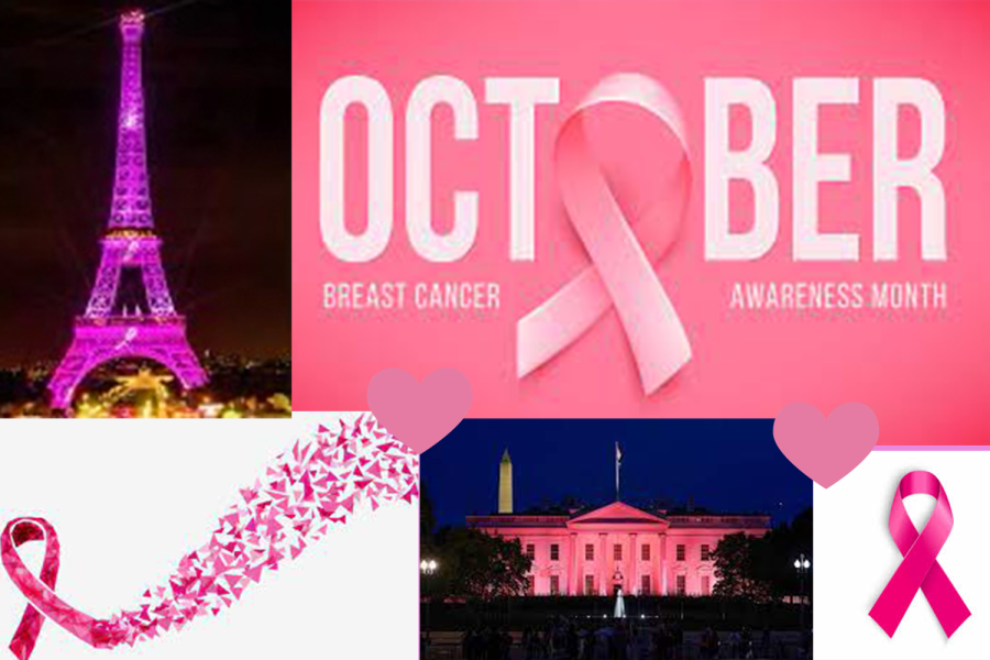 The Cancer Research Club recognizes Breast Cancer Awareness Month.