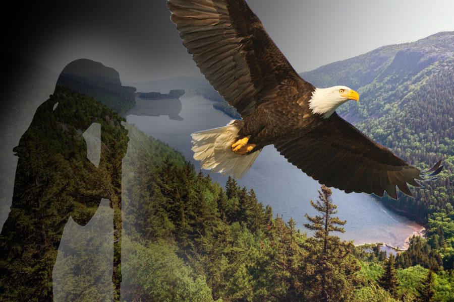 The+Hudson+River+EagleFest+educates+locals+about+raptors+and+conservation.