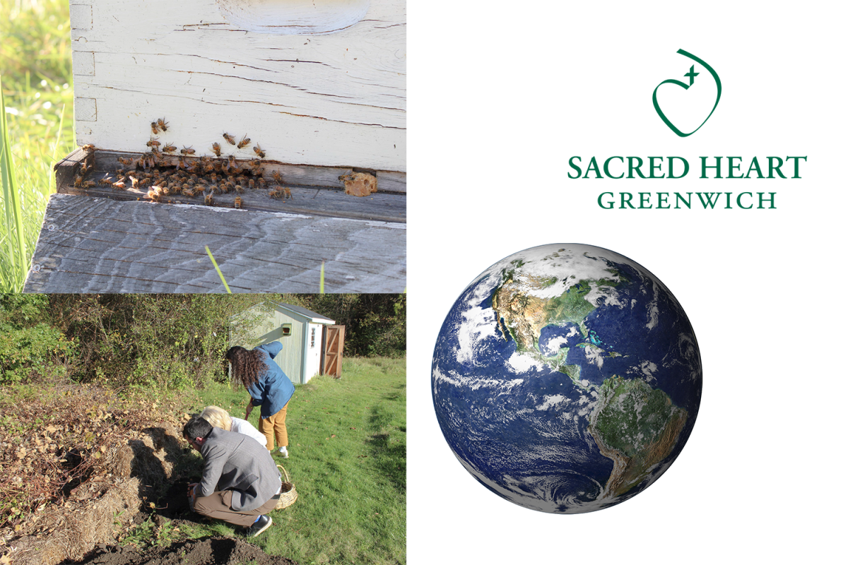 The+Sacred+Heart+Sustainability+Club+aims+to+advance+the+schools+environmental+awareness.