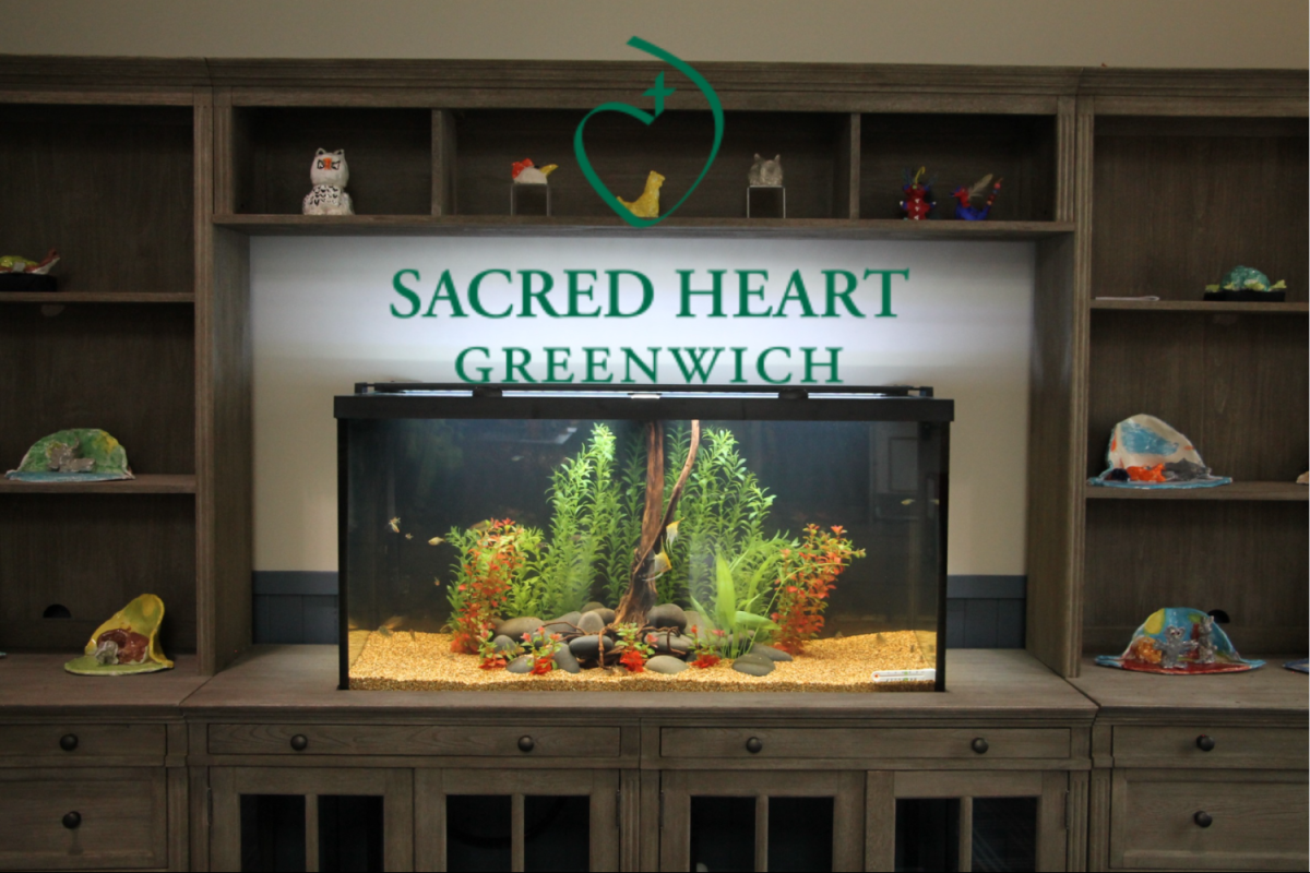 The new school aquarium enables students to dive into ecosystem science.