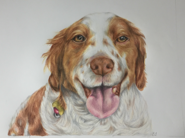 Art of the Week – “In Memory of Max” – Ms. Ellen Spillane