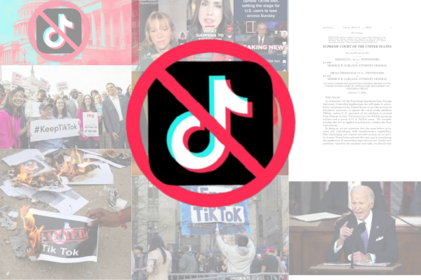 Controversial TikTok ban sparks debate