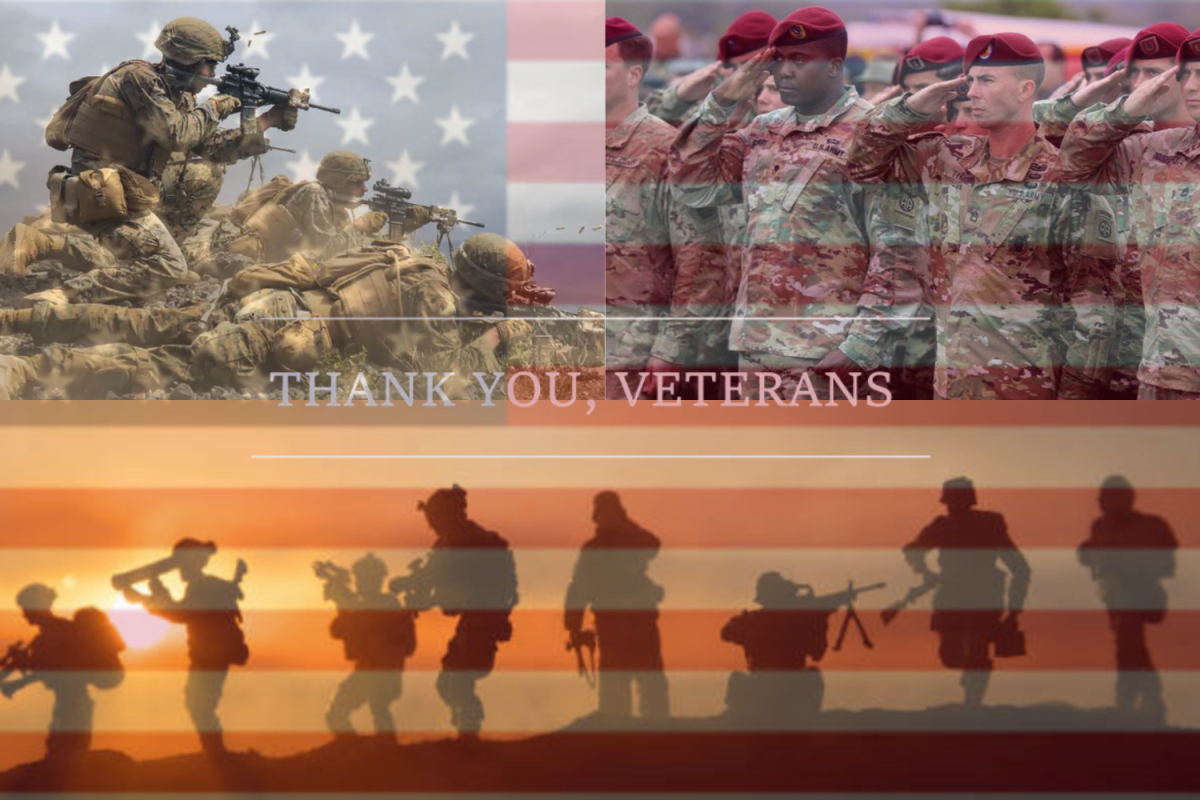 Veterans Day encourages support for struggling veterans. 