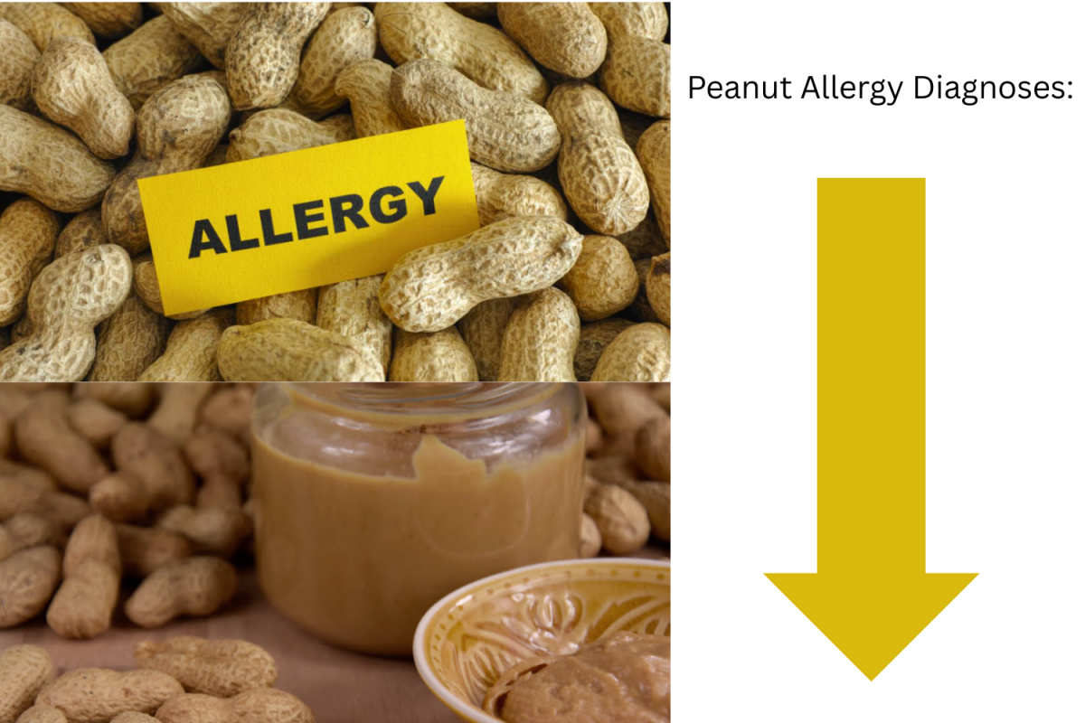 Peanut allergy diagnoses decline in recent decades.