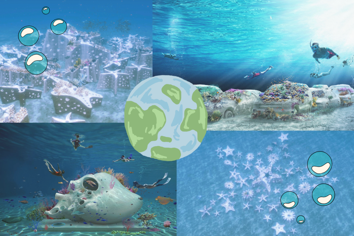 The ReefLine enhances and modernizes coral habitats by integrating creative artwork.