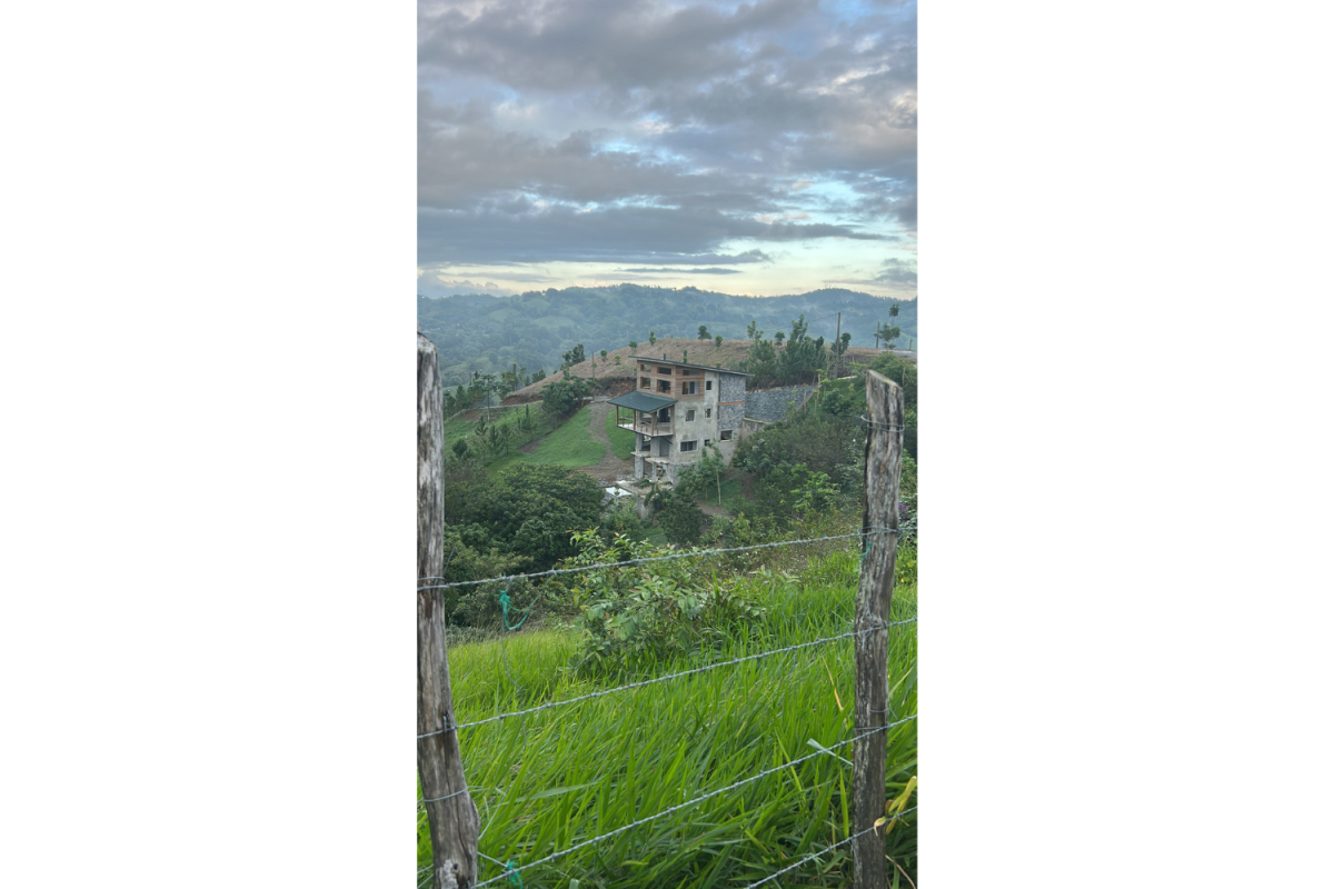"The House That Holds the Quiet"  Courtesy of Estela Sosa '27