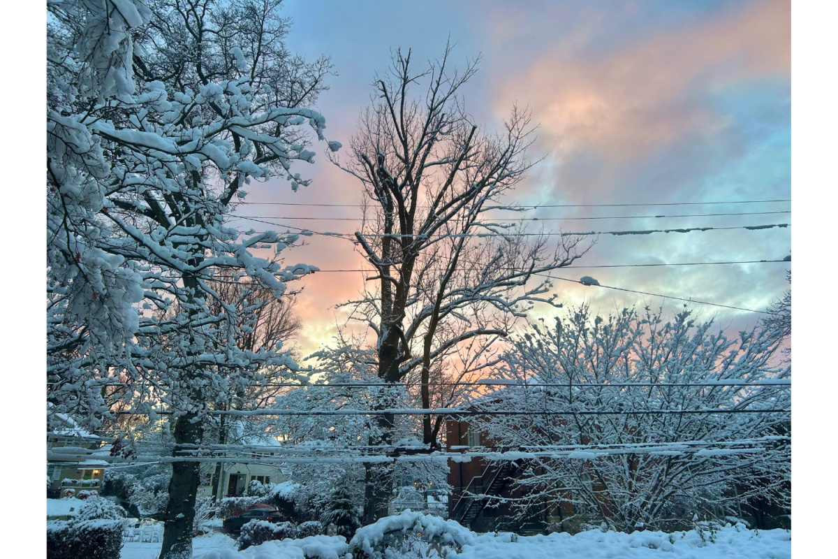 "Snowy Serendipity"  Caroline Gammon '26