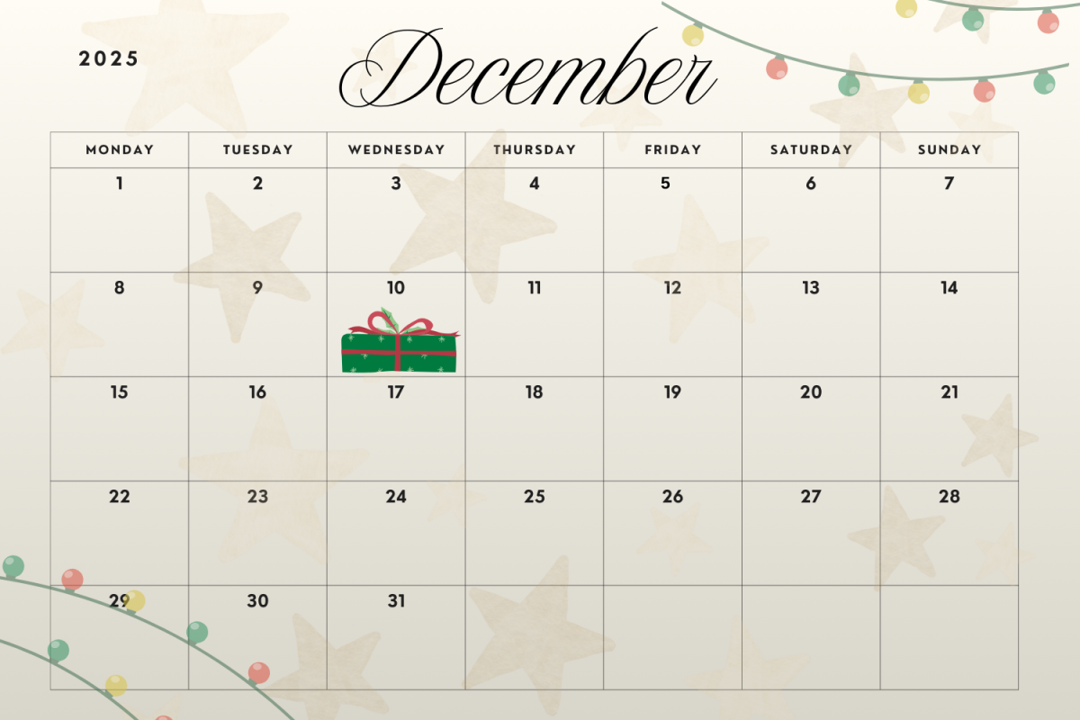 12 Days of Christmas - Day 5
