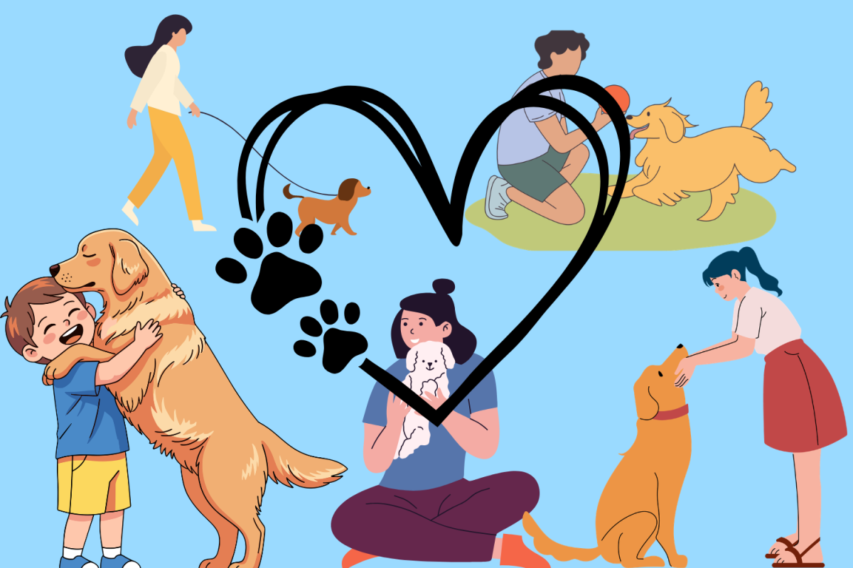 Therapy dogs offer individuals companionship and affection in times of stress.
