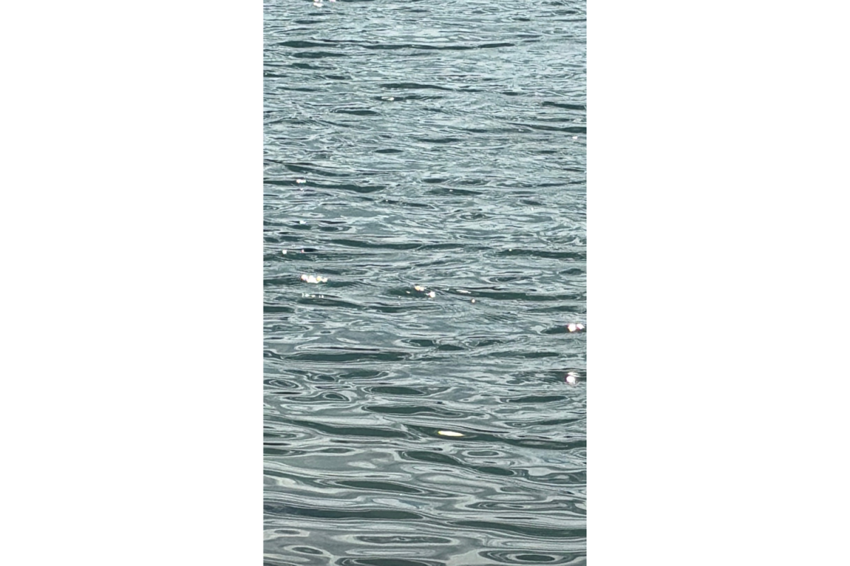 "Cove Waters" Courtesy of Katie McQuillan '26
